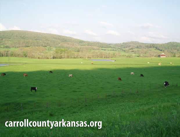 Eureka Springs  - Carroll County Arkansas
