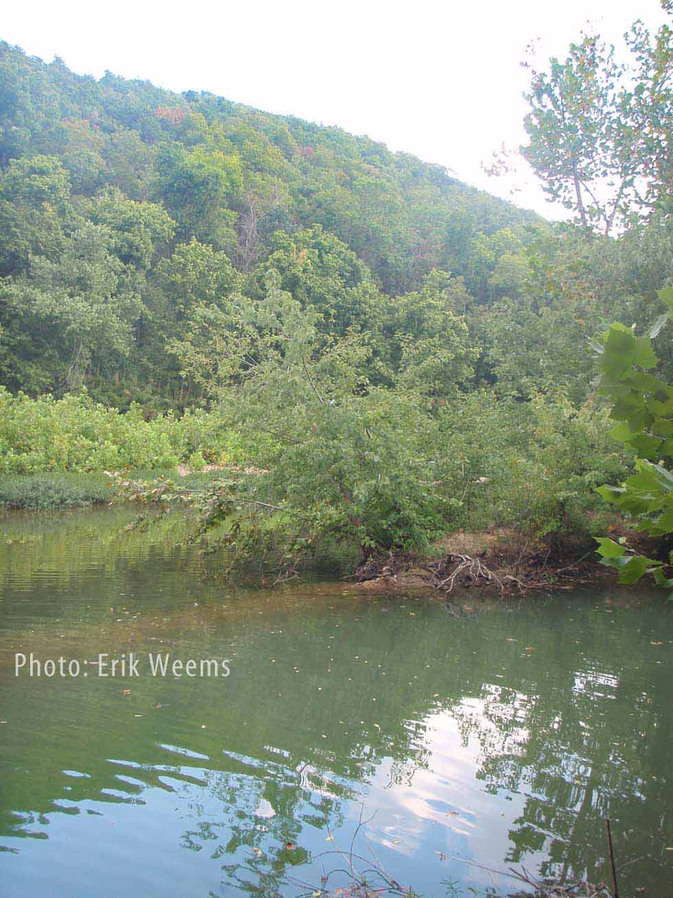 Kings River Arkansas in Carroll County Arkansas